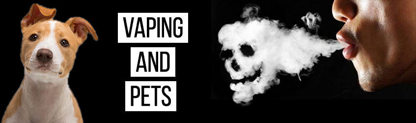 Vaping Around Pets (Are & E-Cigs Poisonous To Pets?) The Dangers with EJuice